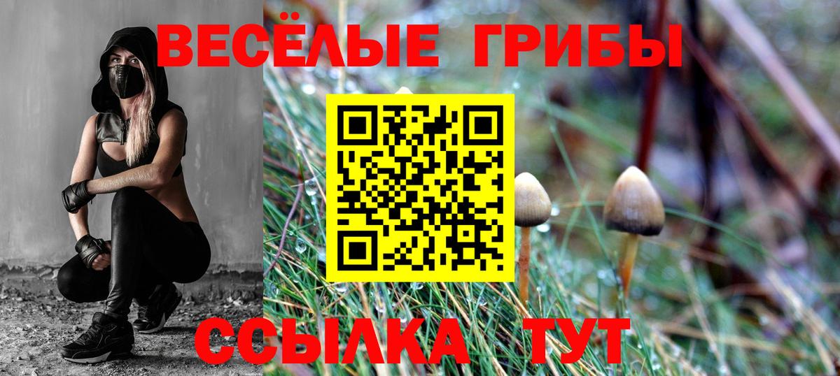 Псилоцибиновые грибы мицелий Гусев