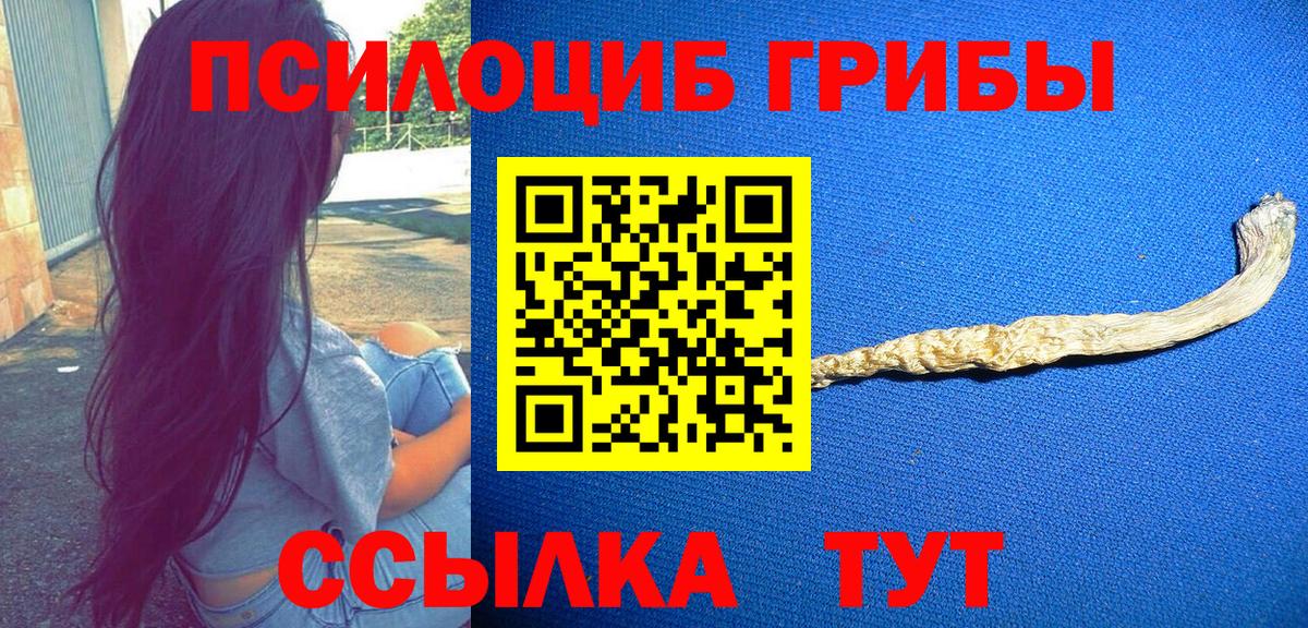 Псилоцибиновые грибы Cubensis  Вход с VPN  Гусев 